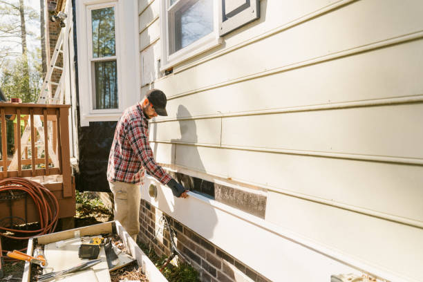 Top rated local Siding Repair specialists in Ward, CO